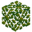 Roseli Berry Leaves