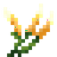 Fluorescent Cattail Sprout