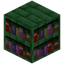 Green Enchanted Bookshelf