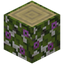Flowering Birch Log