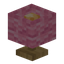 Pink Lamp