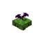 Floating Purple Flower
