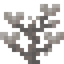 Dead Cup Coral