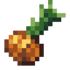 Onion