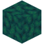 Scaled Warped Wart Block