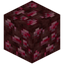 Nether Ruby Ore