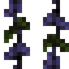 Hanging Fantagrass