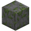 Polished Mossy Stone Bricks