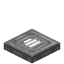 White Mangrove Trapdoor