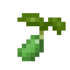 Spinach Seed