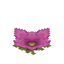 Spore Blossom (ground)