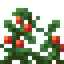 Tomato Shrub