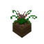 Plant In Pot