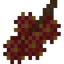 Rambutan Fruit