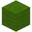Lime Wool