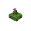 Floating Pink Flower