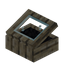 Black Palm Display Case
