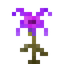 Lightning Lily