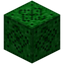 Cellular Block