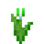 Green Tulip