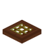 Golden Barred Acacia Trapdoor