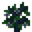 Flowering Oak Sapling