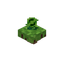 Floating Agricarnation