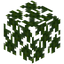 Papaya Leaves