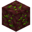 Nether Olivine Ore