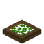 Overgrown Spruce Trapdoor
