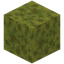 Wet Sponge