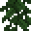 Poison Ivy