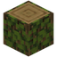 Overgrown Oak Log