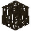 Mangrove Roots