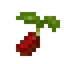 Bean Seed