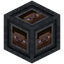 Player Interface