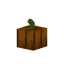 Small Pumpkin
