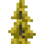 Golden Larch Shrub