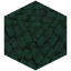Trodden Dark Prismarine