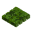 Bamboo Trapdoor
