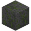 Weathered Mossy Stone Bricks