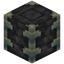 Reinforced Deepslate