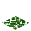 Oak Leaf Carpet
