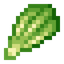 Lettuce