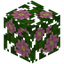Fig Crop