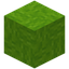 Bundled Lime Wool