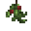 Mistletoe
