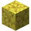 Horn Coral Block