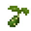 Cactusfruit Seed