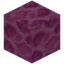 Brain Coral Block